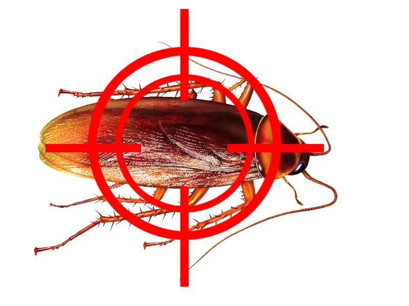 cockroach control